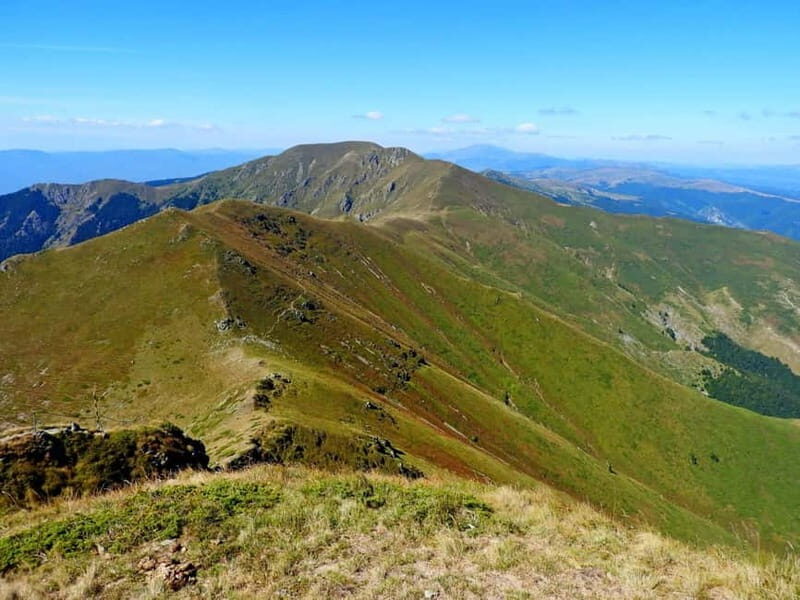 Plovdiv: Central Balkan National Park Guided Hike - What Makes This Tour Stand Out