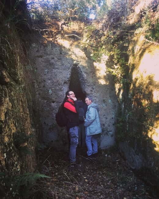 Poggio Buco: the missing necropolis - The Experience at a Closer Look