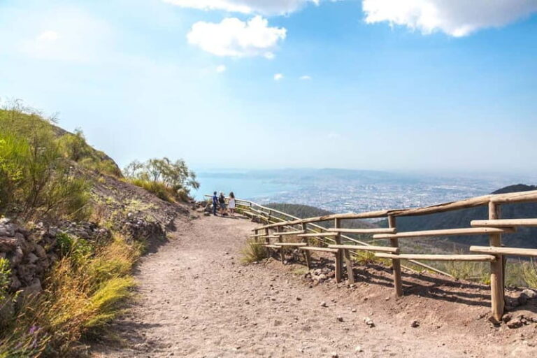 Pompeii and Mt. Vesuvius Private Tour from Naples - Final Thoughts: Is this tour for you?