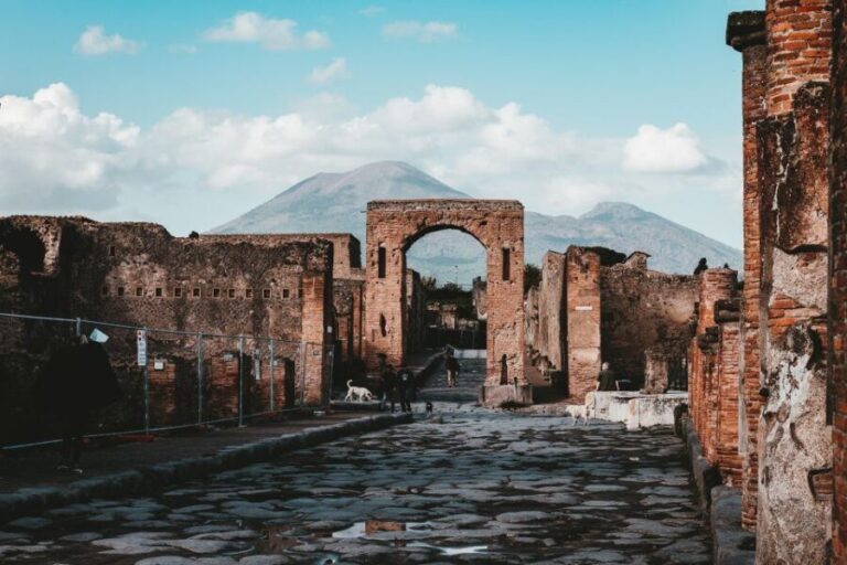Pompeii: Guided Tour and Lunch - Who is This Tour Best Suited For?