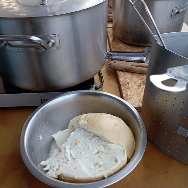 Pontecagnano Faiano: Pasta Factory Tour & Cooking Class - Who Will Appreciate This Tour?