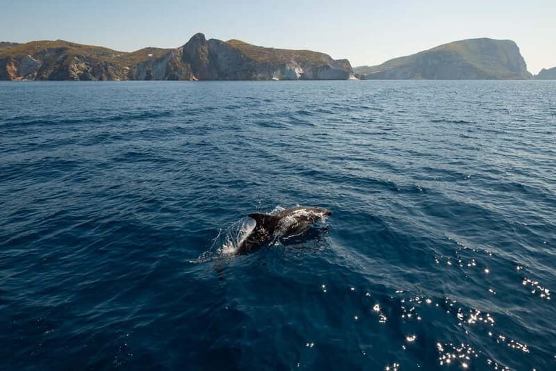 Ponza: Palmarola & Ponza Island Cruise with Swimming & Lunch