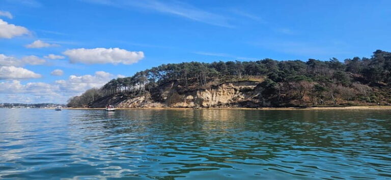 Poole Harbour: Self Drive Boat Hire with Poole Boat Hire - What to Expect During Your Trip