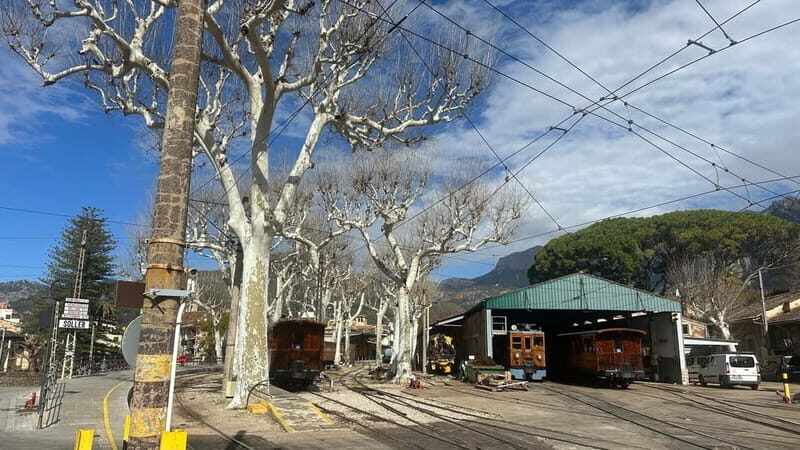 Port de Sóller, Sóller, and Sa Foradada Sunset Tour - Transportation and Group Dynamics