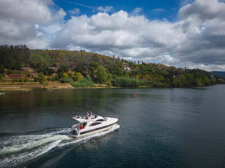 Porto: Cruise on the Douro River - Full Day - Authentic Insights from Previous Travelers