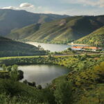 Porto: Dão Wineries Tour with Wine Tasting, Lunch and Cheese - Practical Details & What to Expect