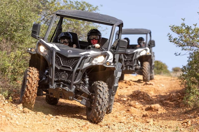 Porto: Dirt and Dust Tour by Oporto Buggy - The Guides and Overall Organization