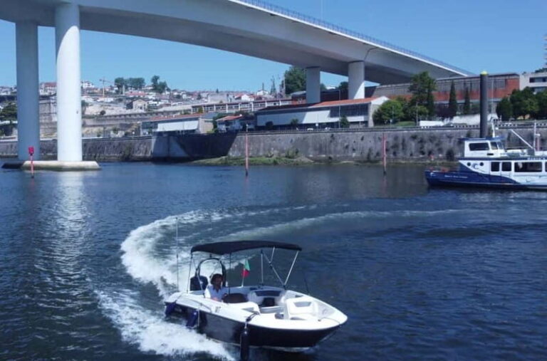 Porto: Douro River Boat Cruise Tour with Port Wine Tasting - The Bridges and River Views