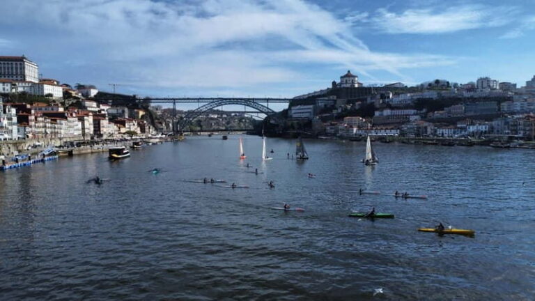 Porto: Douro River Kayak or Standup Paddleboard Tour - Authentic Reviews and Insights