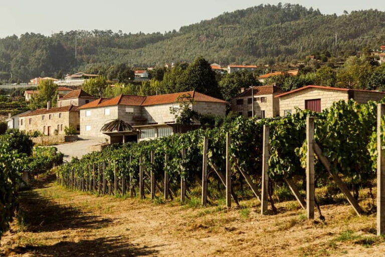 Porto: Douro Valley Exclusive Vinho Verde Tour - The Itinerary in Detail
