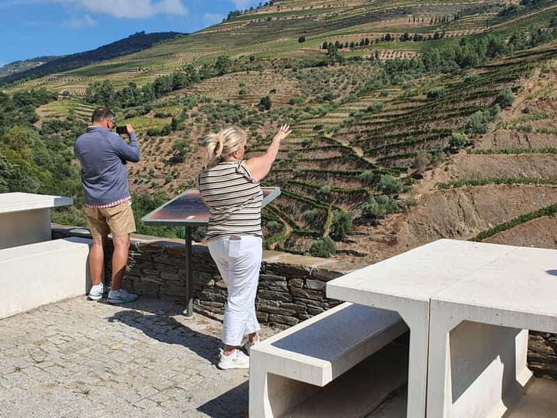 Porto: Douro Valley Private Tour with Winery Visit & Lunch - Practical Details and Value