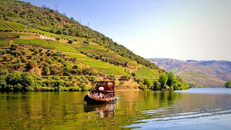Porto: Douro Valley Tour with 2 Wineries, Lunch, & Boat Trip - Who Will Love This Experience?