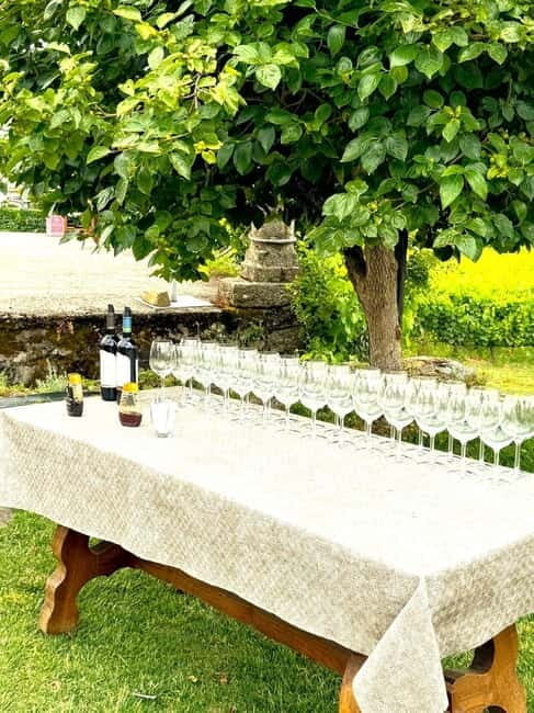 Porto: Douro Valley Tour with 3 Wineries and Lunch - Why This Tour Is Worth Considering