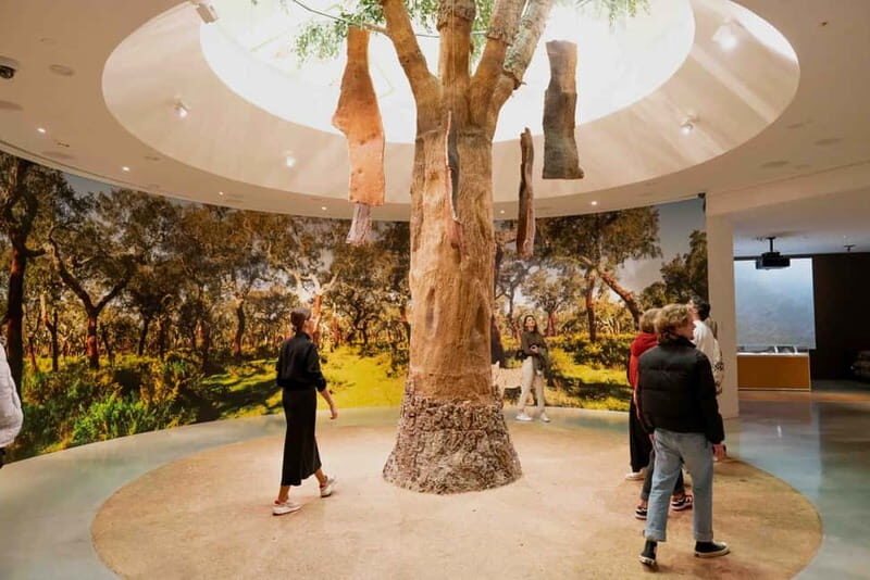 Porto: Entry Ticket at WOW - Planet Cork Museum - Authentic Feedback and What Visitors Say