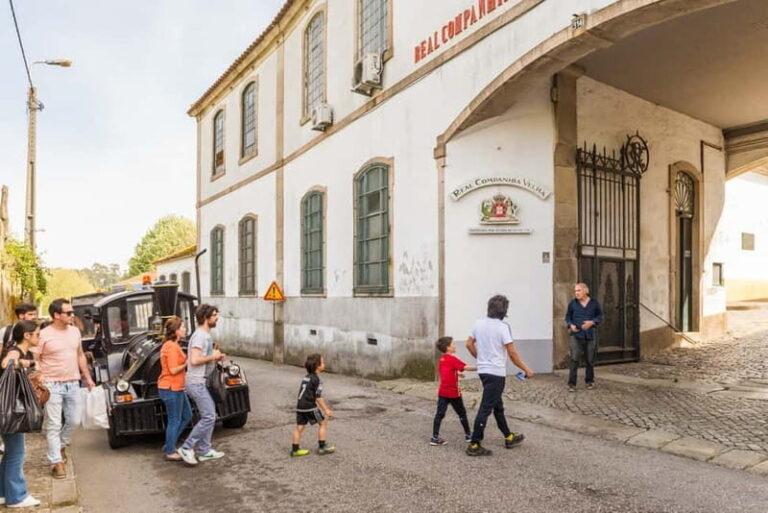 Porto: Magic Train Tour and Port Wine Cellar with Tastings - What Makes This Tour Stand Out?