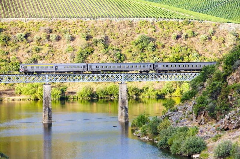Porto: Régua Cruise with Train Ride and Wine Tasting - Practical Insights & Tips