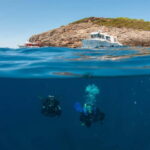 Porto Santo Stefano: Scuba Diving Boat Trip with Lunch - Why Choose This Tour?