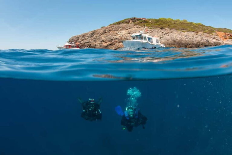 Porto Santo Stefano: Scuba Diving Boat Trip with Lunch - Why Choose This Tour?