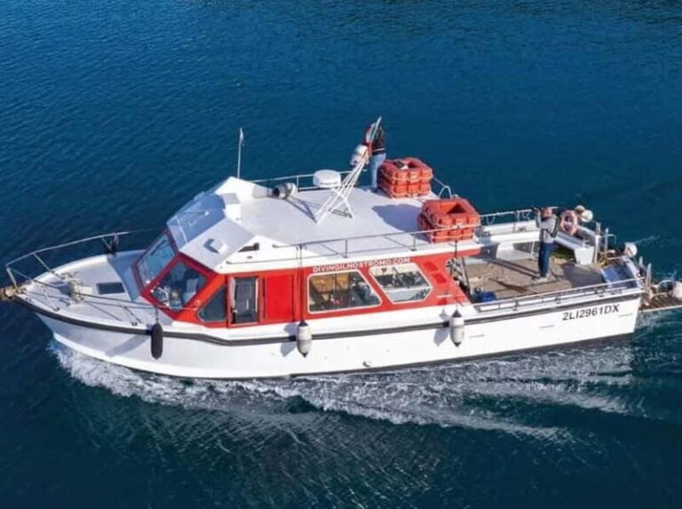 Porto Santo Stefano: Snorkeling Day Trip with Lunch - Who Is This Tour Best For?