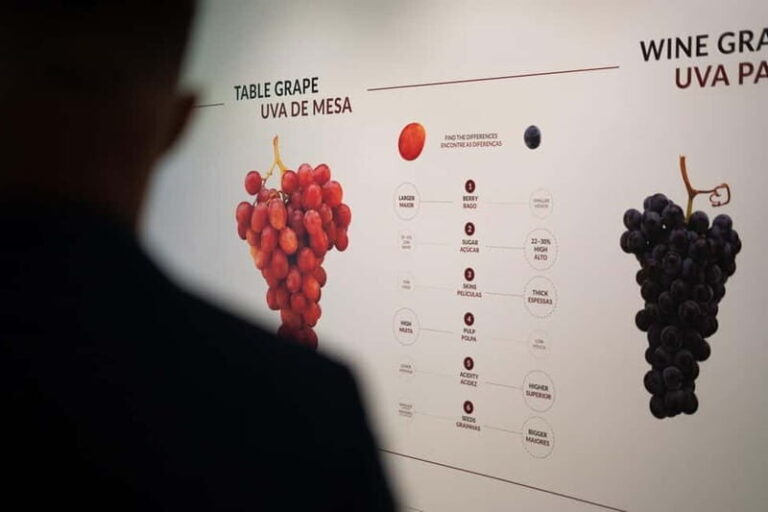 Porto: Taylors Port Cellar Tour & WOW Wine Experience - Who Will Love This Tour?