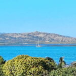Porto Torres & Stintino: Romantic Experience Sail at Sunrise - The Small Details That Make a Difference