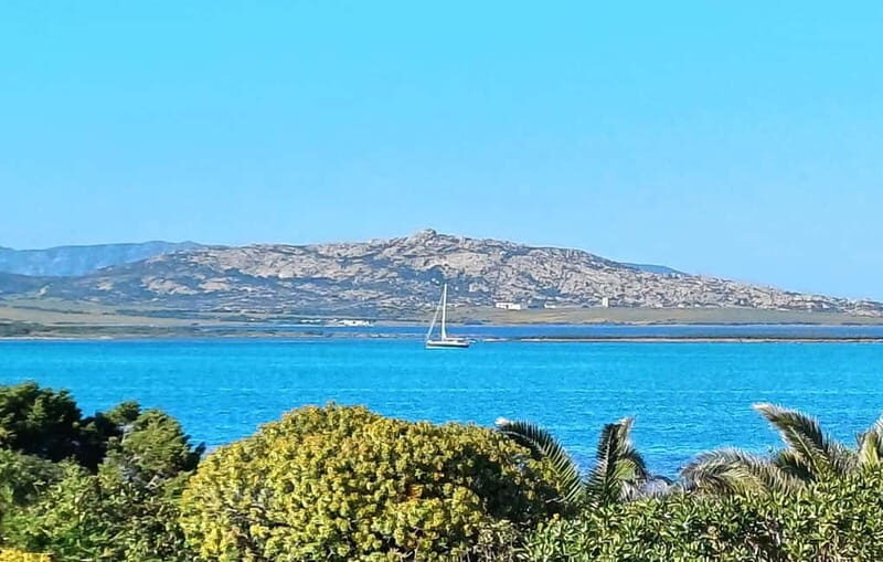 Porto Torres & Stintino: Romantic Experience Sail at Sunrise - The Small Details That Make a Difference