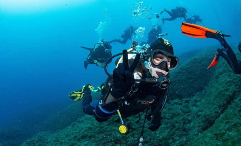 Portofino: scuba diving from Genoa - What Makes This Tour Stand Out
