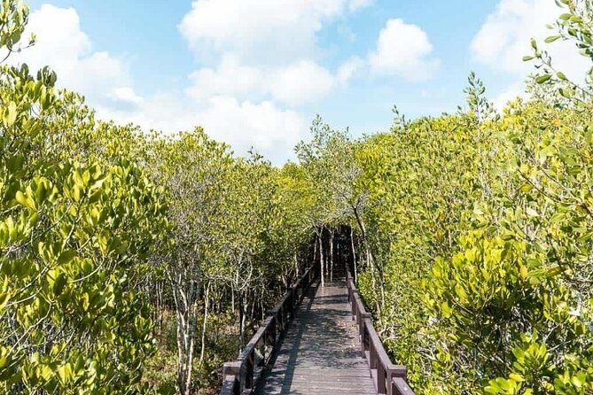 Pranburi Forest Park and Khao Daeng Join Tour from Hua Hin - An In-Depth Look at the Tour Experience