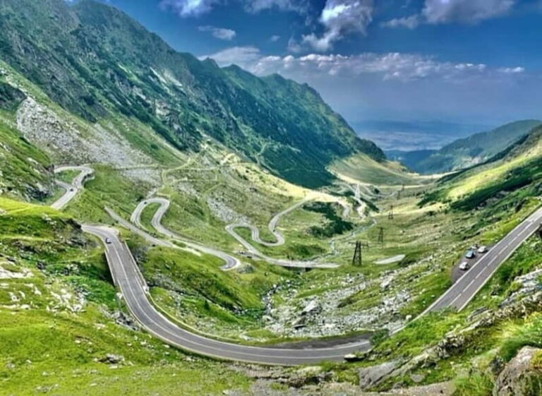 PREMIUM TOUR: Bears Safari on Transfagarasan Road - The Authentic Touches that Stand Out