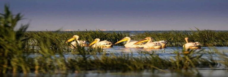 PREMIUM TOUR SMALL GROUP From Bucharest to the Danube Delta - FAQs