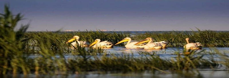PREMIUM TOUR SMALL GROUP From Bucharest to the Danube Delta - FAQs