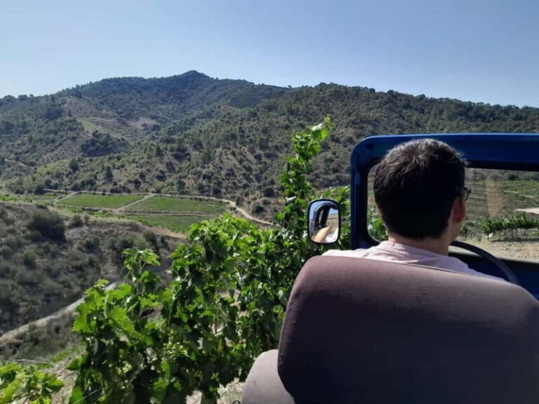 Priorat tour to 3 small wineries and hotel pick-up - Considerations to Keep in Mind