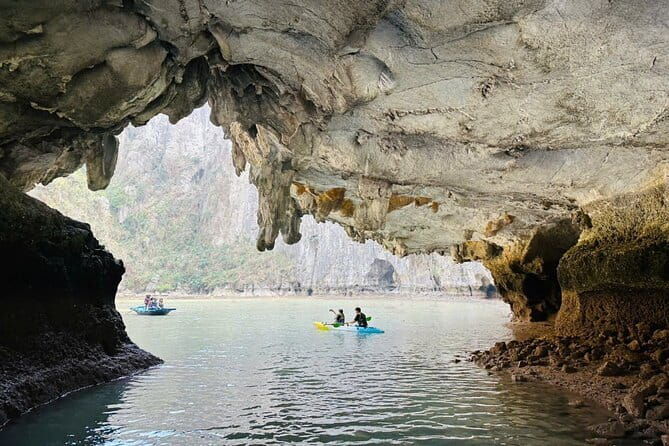 Private 1 Day Tour in Ha Long Bay with Private Cruise or Group - A Complete Breakdown of the Ha Long Bay Experience
