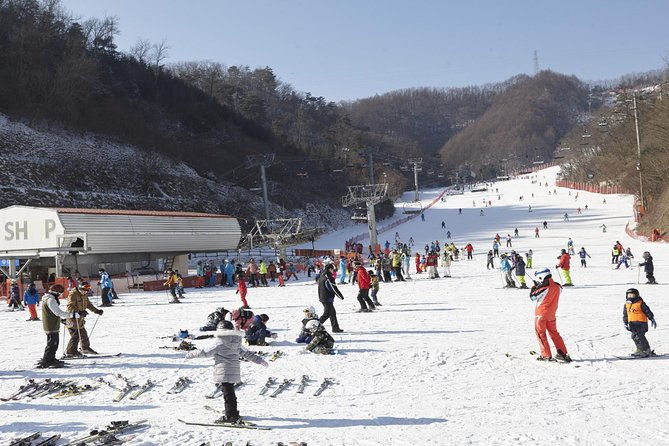 Private 1:1 Ski Lesson near Seoul, South Korea - Why Choose This Ski Lesson Near Seoul?