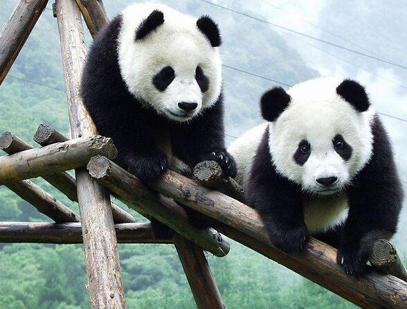 Private 2-Day Xi'an and Chengdu Tour with Hotel Stay - Key Points
