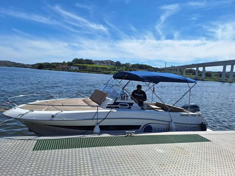 Private 6 Bridges Cruise in Porto with Optional Sunset - What’s Included and What to Keep in Mind