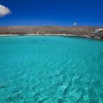 Private Boat Delos and Rineia Cruise Tour - The Value in the Details: What Makes This Tour Stand Out