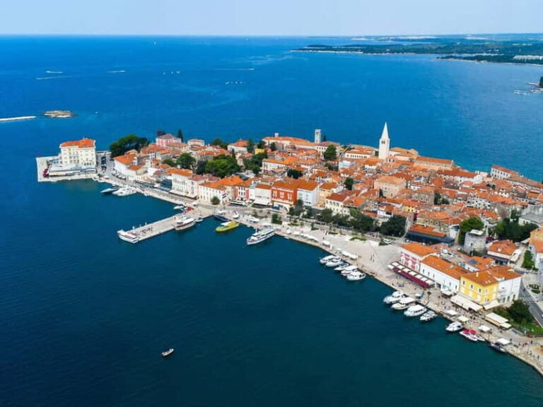 Private boat trips in Porec: Dolphin watching at sunset - What Makes This Tour a Great Value?