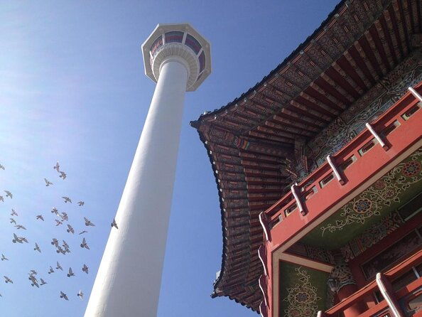 Private Busan Tour with hidden gem of Busan by Local Guide - Exploring Busan with a Private, Customizable Tour