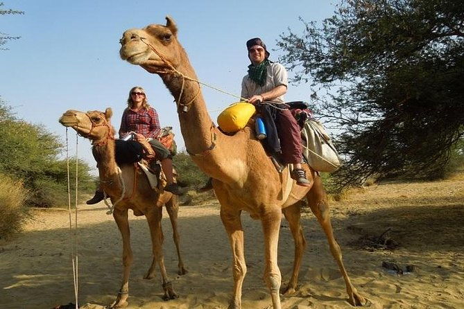 Private Chandigarh Day Trip from New Delhi - Key Points