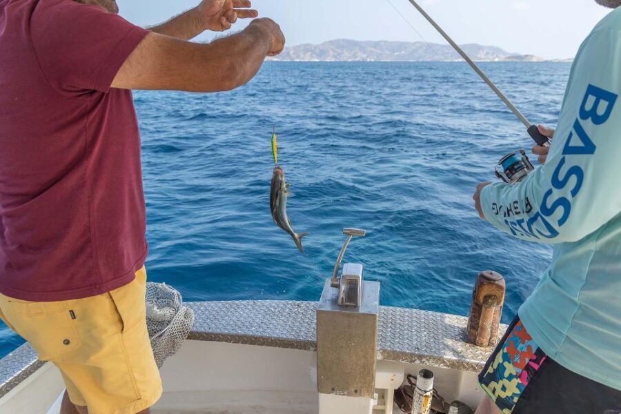 Private Cruise  Half Day Pollonia Polyaigos - What Is Included & What It Means for You