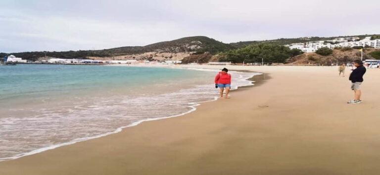 Private day tour Arrábida, Palmela Castle, tiles and Winery - Who Is This Tour Best For?