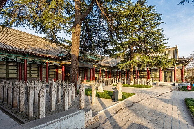 Private day tour to Xi 'an Highlights Museum - An In-Depth Look at the Xian Highlights Museum Tour