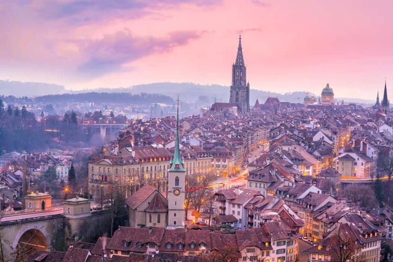 Private day trip from Basel to Bern, Murten, local driver - Why Choose This Private Day Trip?