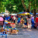 Private Day Trip to Bosnia: Wine, Culture & Local Lunch - Who Will Love This Experience?