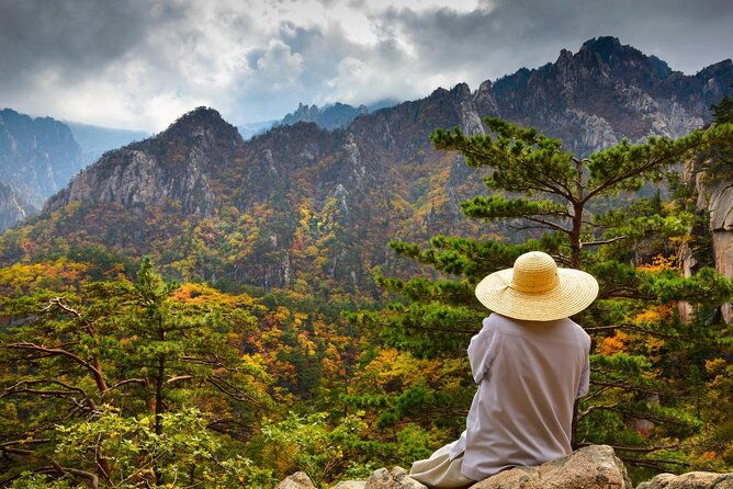 Private Day Trip to Seoraksan National Park - An In-Depth Look at the Seoraksan Day Trip Experience