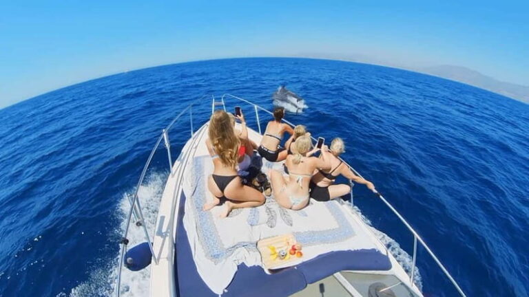PRIVATE DOLPHIN WATCHING SUNSEEKER WITH DRINKS ON FUENGIROLA - The Pros and Cons of a Dolphin Watching Yacht Tour