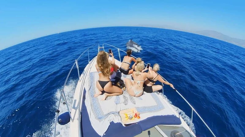 PRIVATE DOLPHIN WATCHING SUNSEEKER WITH DRINKS ON FUENGIROLA - The Pros and Cons of a Dolphin Watching Yacht Tour