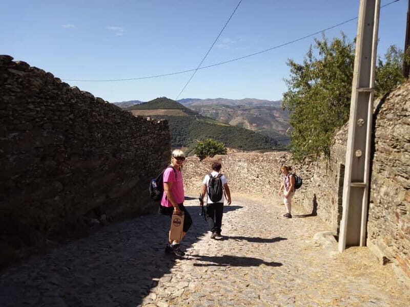 Private Douro Wine Experience - Full Day in the Douro Valley - The Highlights & Why They Matter