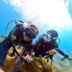 Private Eco Scuba Diving in Tenerife: no crowds and no rush - What to Expect from the Experience